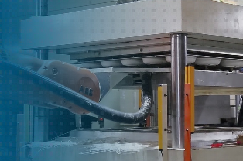 Sheet-fed and web die-cutting.