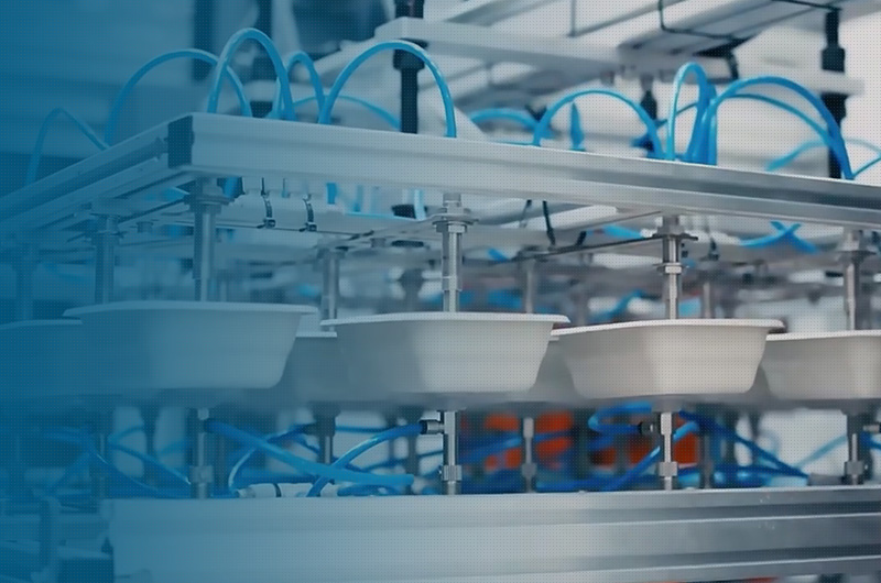 Sheet-fed and web die-cutting.