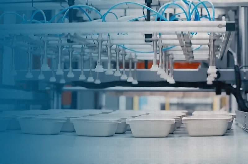 Molding production line in the production workshop.